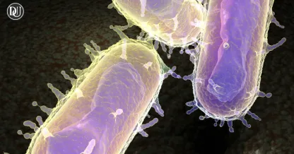 Arizona Death Sparks Bubonic Plague Concerns