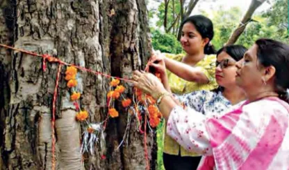 Sustainable Raksha Bandhan: The Rise of Green Rakhis