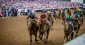 Don’t Miss the 2025 Kentucky Derby
