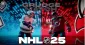 NHL Playoff Collision Controversy