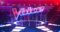  the Voice With Whitney Tour
