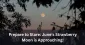 Strawberry Moon June 2025