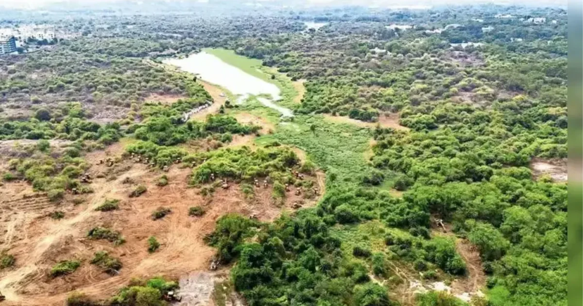 Massive Federal Lands Sale Sparks Outrage